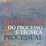 Efetividade do Processo e Técnica Processual