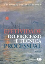 Efetividade do Processo e Técnica Processual